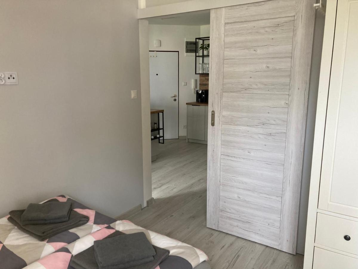 Anna Apartament 米兹多洛杰 外观 照片